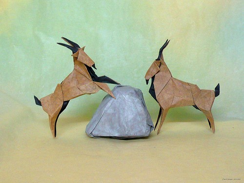 Горный козлик